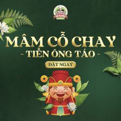 Mâm cúng ông Táo