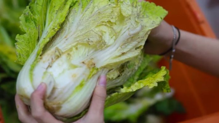 MÂM CỖ CHAY CÚNG